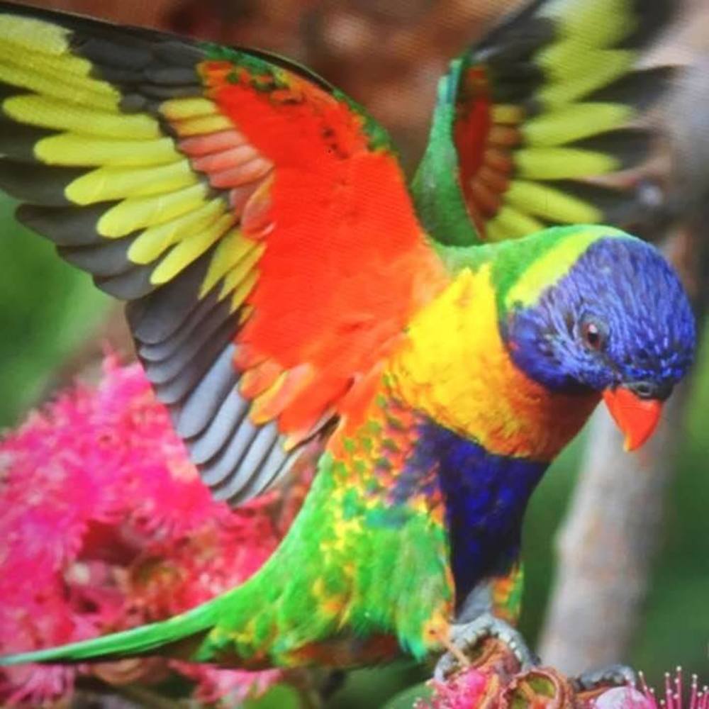 Meet your Posher, Leslie